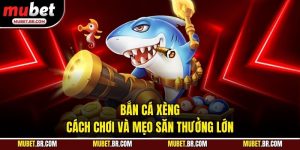 Bắn Cá Xèng - Cách Chơi Và Mẹo Săn Thưởng Lớn
