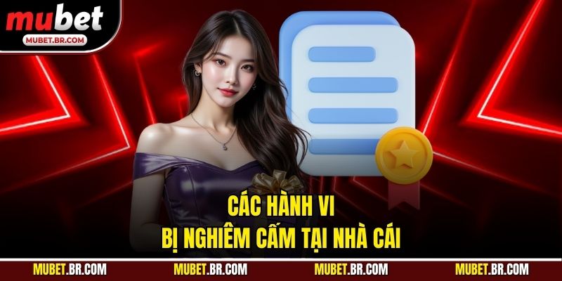 Các hành vi bị nghiêm cấm tại nhà cái