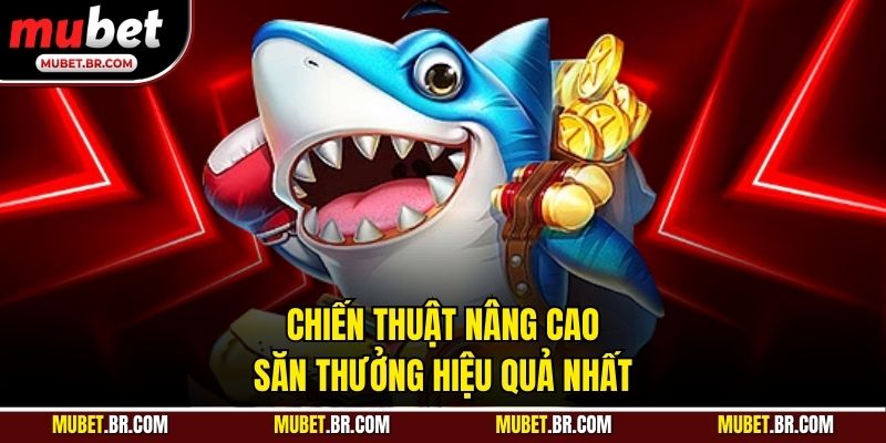 Chiến thuật nâng cao săn thưởng hiệu quả nhất