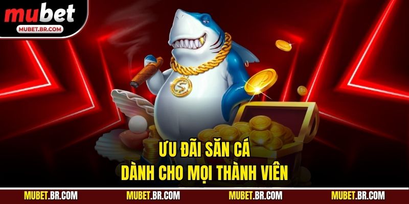 Ưu đãi săn cá dành cho mọi thành viên
